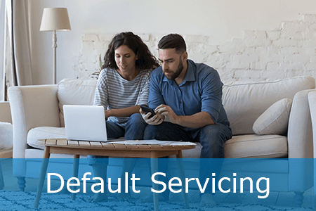 Default Mortgage Servicing